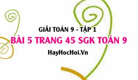 Giải bài 5 trang 45 SGK Toán 9 tập 1